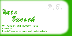 mate bucsek business card