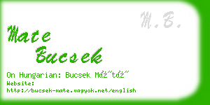 mate bucsek business card
